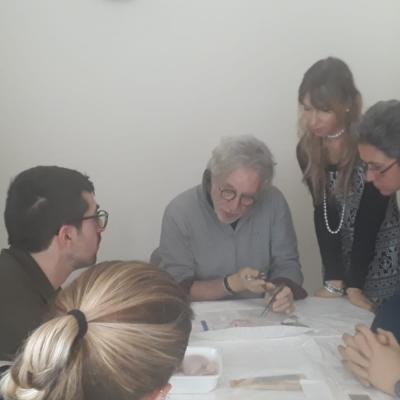 Corso Suture 2019